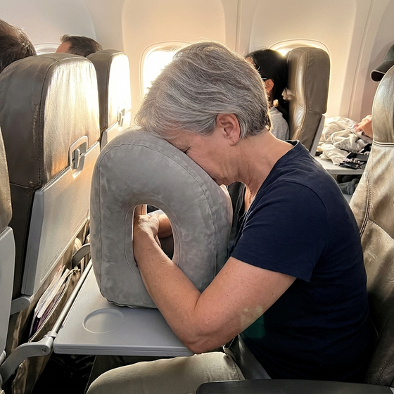 Traveldoze Travel Pillow